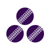 System Bet icon